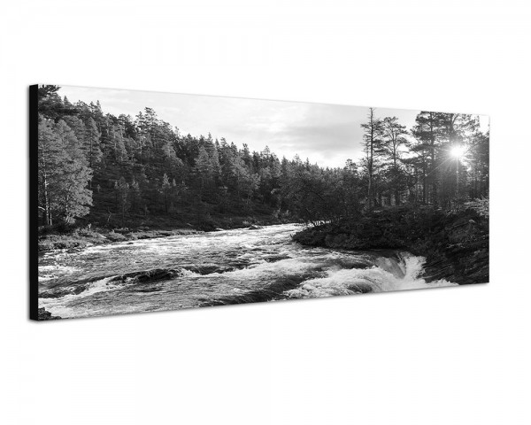 150x50cm Norwegen Wald Bäume Fluss Sonnenstrahlen