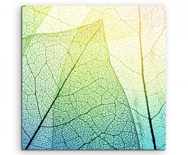 Naturfotografie – Blätter mit Netzstruktur auf Leinwand