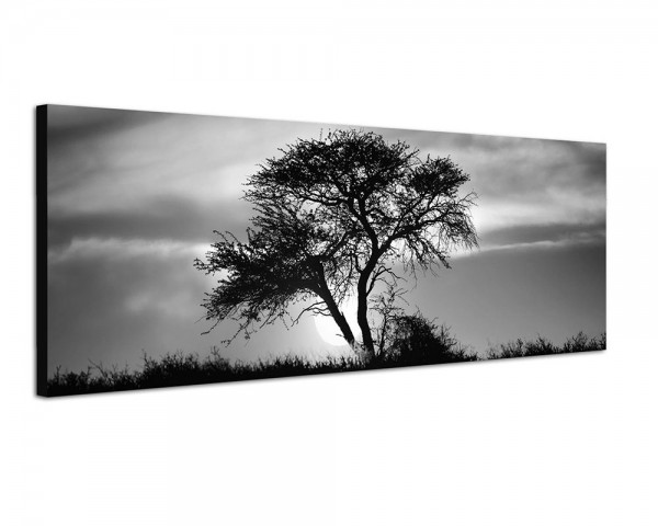 150x50cm Afrika Kalahari Baum Sonnenuntergang