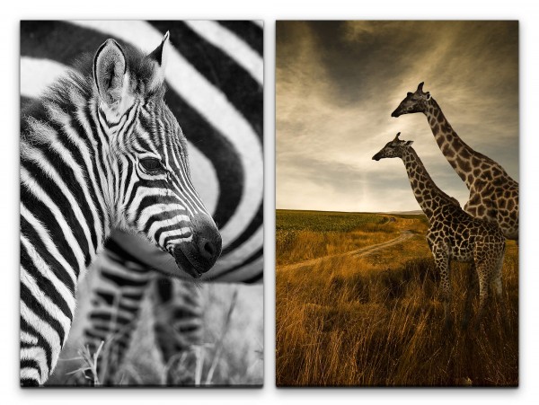2 Bilder je 60x90cm Zebra Baby Giraffen Afrika Natur Wildnis Safari Tiere