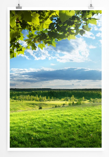 90x60cm Poster Frühlingswiese und Wald