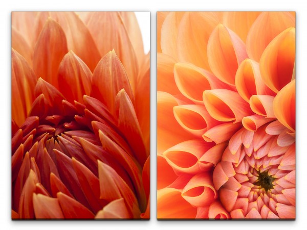 2 Bilder je 60x90cm Dahlie Blumen Sommer Warm Fotokunst Makrofotografie Blüten