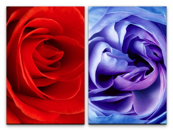 2 Bilder je 60x90cm Rosenblüte Rosen Blumen Rot Blau Romantisch Sinnlich