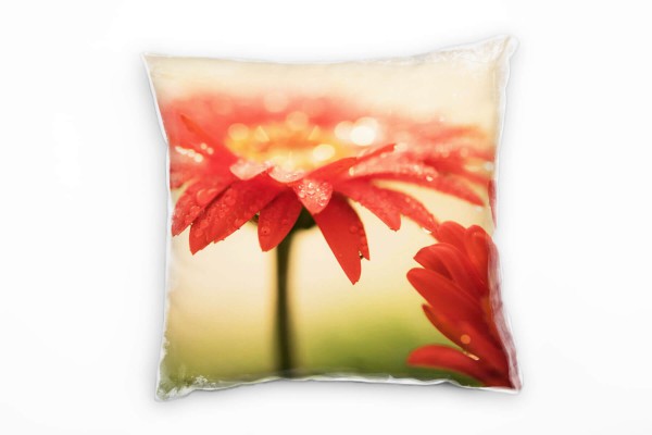 Macro, Blumen, Blüte, Wassertropfen, rot, grün Deko Kissen 40x40cm für Couch Sofa Lounge Zierkissen