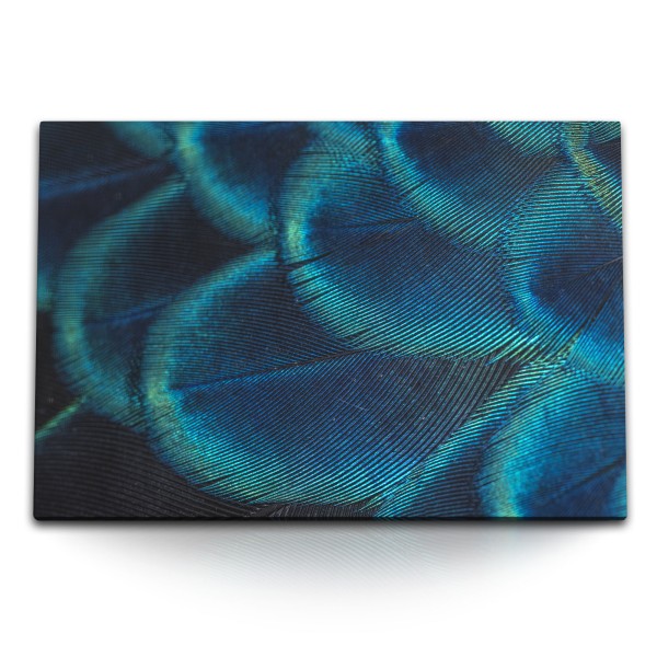 120x80cm Wandbild auf Leinwand Makrofotografie Feder Blau Abstrakt Kunstvoll