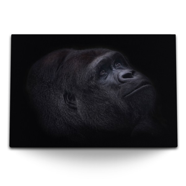 120x80cm Wandbild auf Leinwand Gorilla Porträt Schwarz Silberrücken Tierfotografie