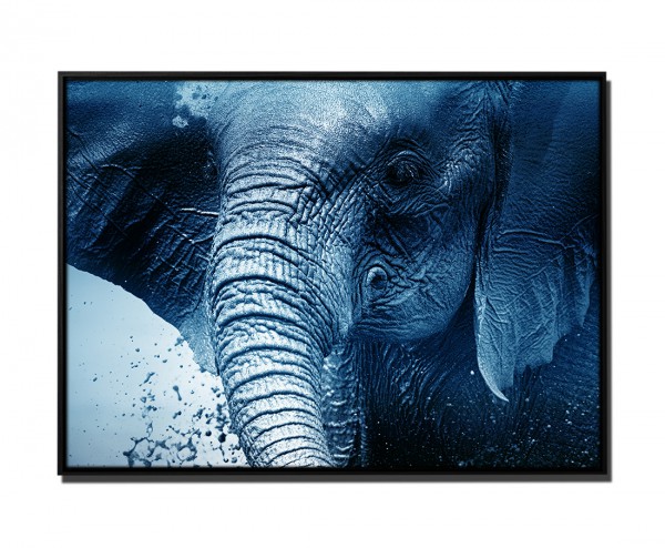 105x75cm Leinwandbild Petrol Elefant Wasser