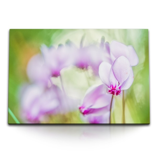 120x80cm Wandbild auf Leinwand Orchidee Rosa Grün Fotokunst Natur Blume