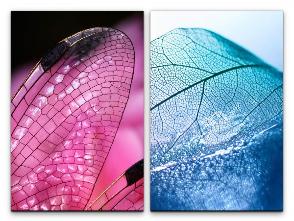 2 Bilder je 60x90cm Libelle Flügel Blattadern Rosa Blau Dekorativ Makrofotografie