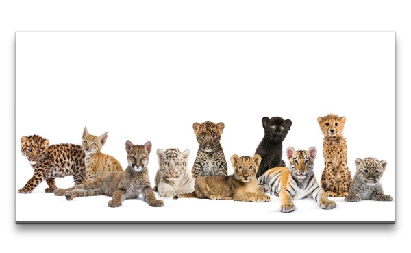 Leinwandbild 120x60cm Kleine Katzenbabys Tiger Lux Jaguar Gepard Kinderzimmer Süß