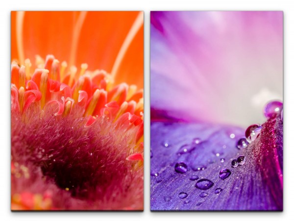 2 Bilder je 60x90cm Blüten Blumen Regentropfen Rot Violett Dekorativ Makrofotografie