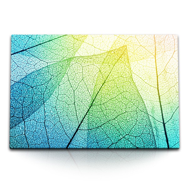 120x80cm Wandbild auf Leinwand Fotokunst Blätter transparente Baumblätter Sonnenschein