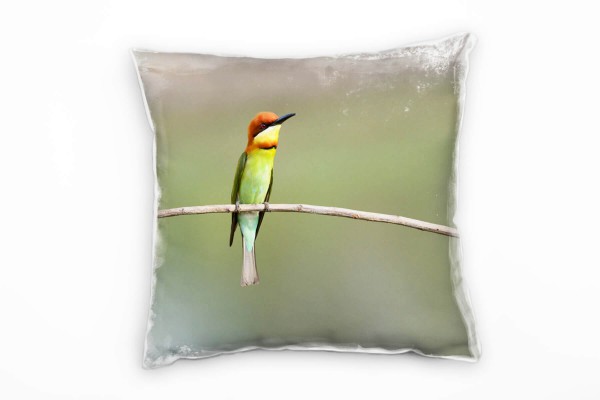 Tiere, Vogel, Bienenesser, grün, orange Deko Kissen 40x40cm für Couch Sofa Lounge Zierkissen