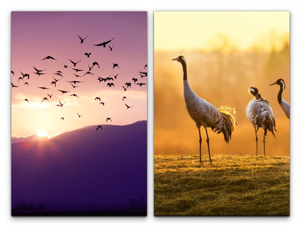 2 Bilder je 60x90cm Vogelschwarm fliegende Vögel Kraniche Japan Berge Natur Sonnenaufgang