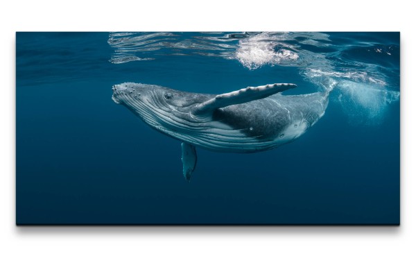 Leinwandbild 120x60cm Wal Buckelwal unter Wasser Ozean Meer Tauchen