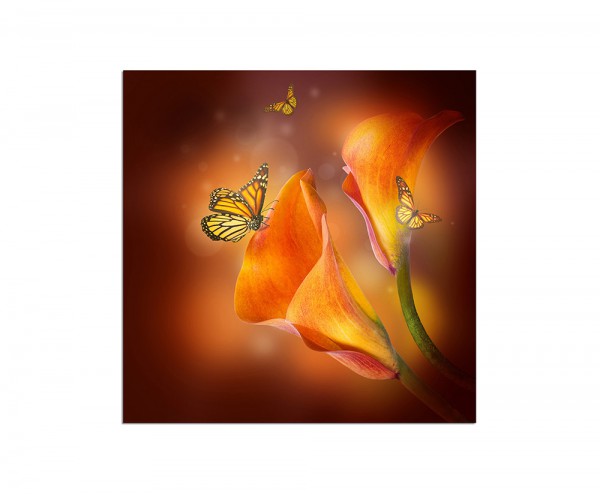80x80cm Lilie Blüte Schmetterlinge