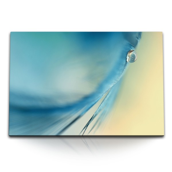 120x80cm Wandbild auf Leinwand Blaue Feder Makrofotografie Wassertropfen Kunstvoll