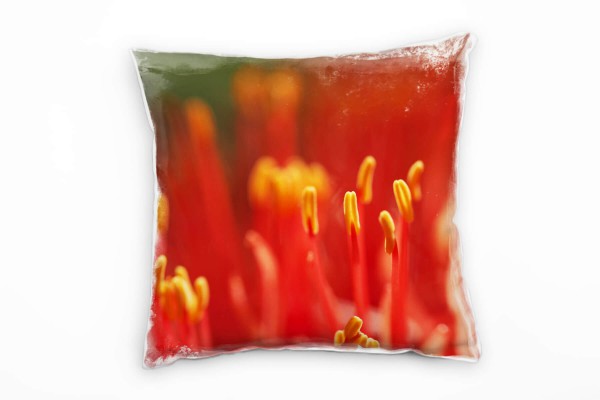 Macro, Blumen, Pollen, Blütenblätter, rot, gelb Deko Kissen 40x40cm für Couch Sofa Lounge Zierkissen