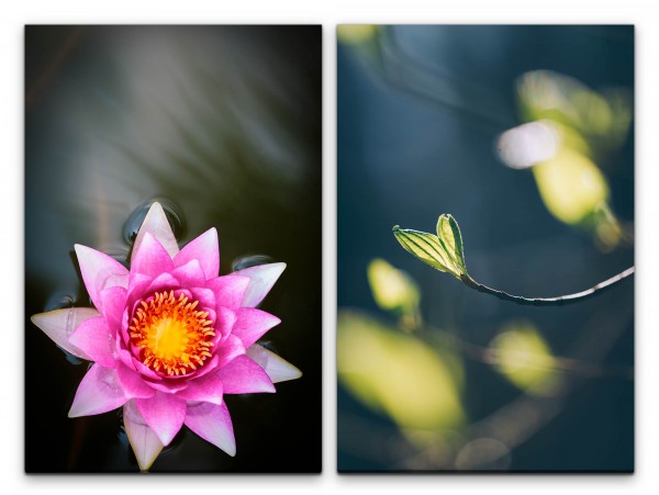 2 Bilder je 60x90cm Lotus Blume Asien Ruhe Achtsamkeit Entspannend Meditation
