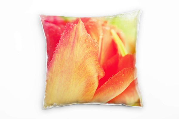 Macro, Blumen, Tulpen, Wassertropfen, rot, grün Deko Kissen 40x40cm für Couch Sofa Lounge Zierkissen