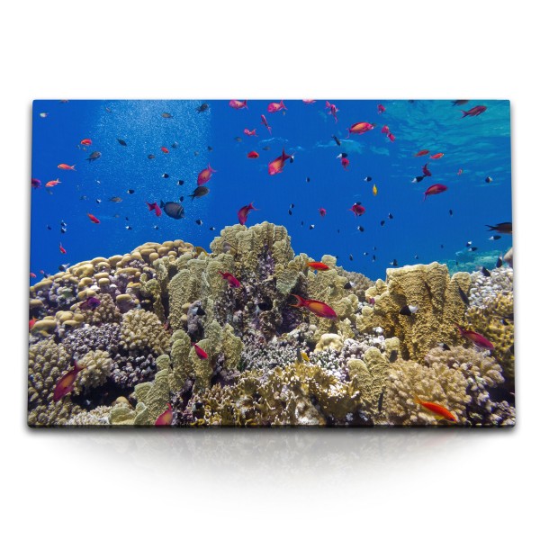 120x80cm Wandbild auf Leinwand Korallenriff Korallen Unterwasserfotografie Blau Fische