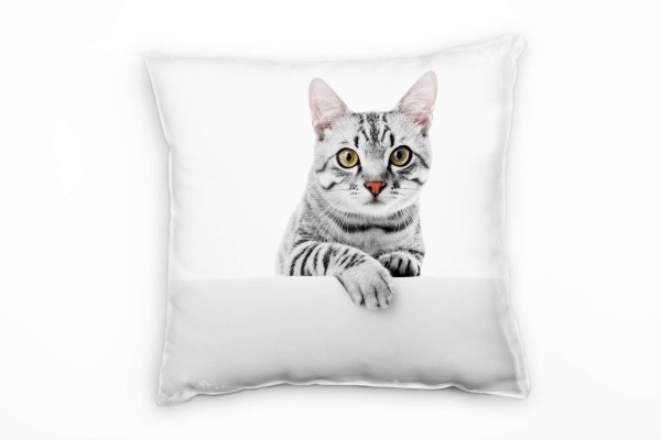 Tiere, Katze, grau, weiß Deko Kissen 40x40cm für Couch Sofa Lounge Zierkissen