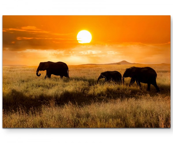 Elefantenfamilie bei Sonnenuntergang - Leinwandbild