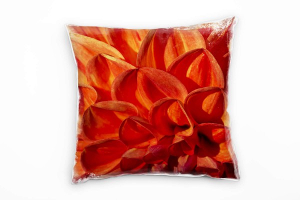 Macro, Blumen, rot, orange, Blütenblätter, Aster Deko Kissen 40x40cm für Couch Sofa Lounge Zierkisse
