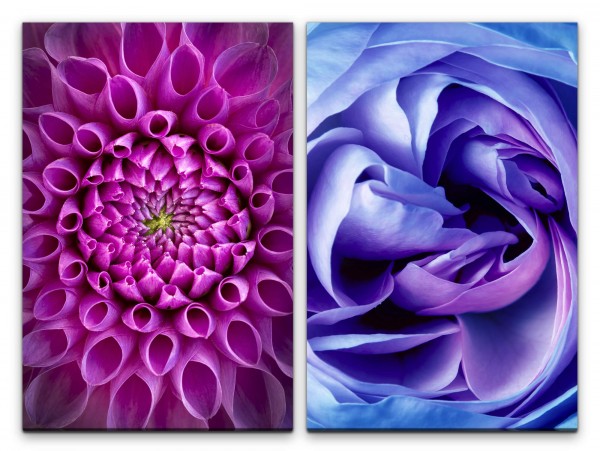 2 Bilder je 60x90cm Dahlie Rose Blau Rosa Blumen Dekorativ Feminin