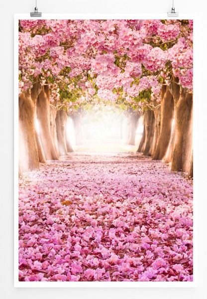 90x60cm Poster Kirschbaumallee mit rosa Blütenblättern