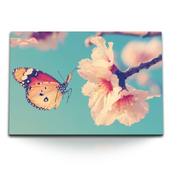 120x80cm Wandbild auf Leinwand Schmetterling Frühling Baumblüte Kirschblüten Sonnenschein