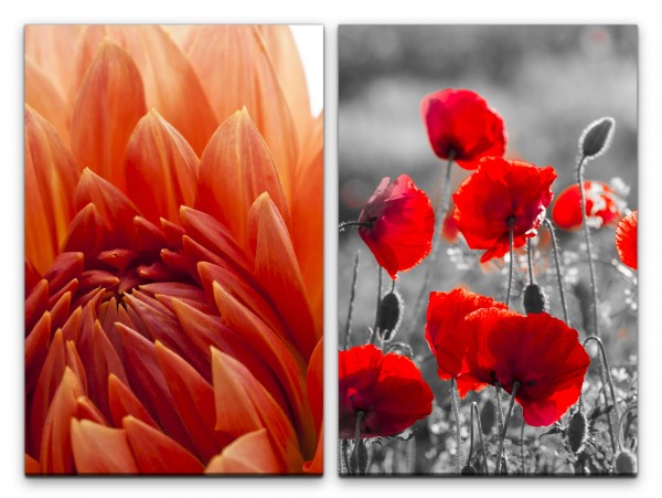 2 Bilder je 60x90cm Dahlie Mohnblumen rote Blumen Sommer Wärme Fotokunst Makrofotografie