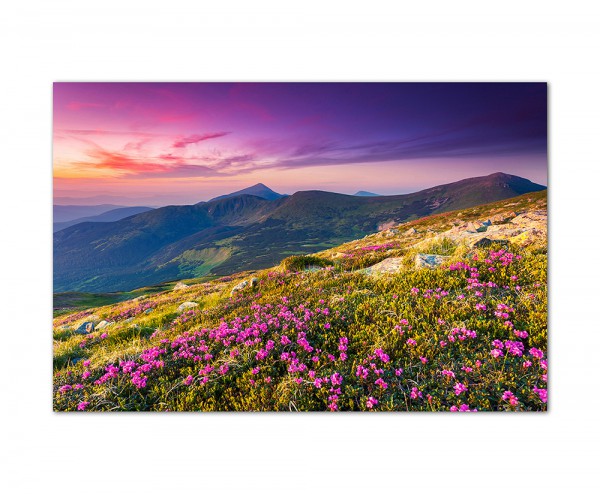 120x80cm Wiese Blumen Sommer Berge Landschaft