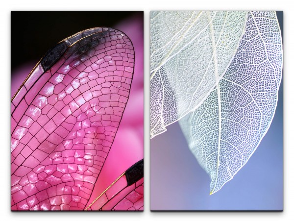 2 Bilder je 60x90cm Libelle Flügel weißes Blatt Blattstruktur Dekorativ Rosa Makrofotografie