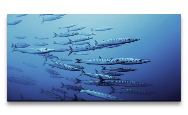 Leinwandbild 120x60cm Barrakudas unter Wasser Fische Blau Fotokunst Tauchen