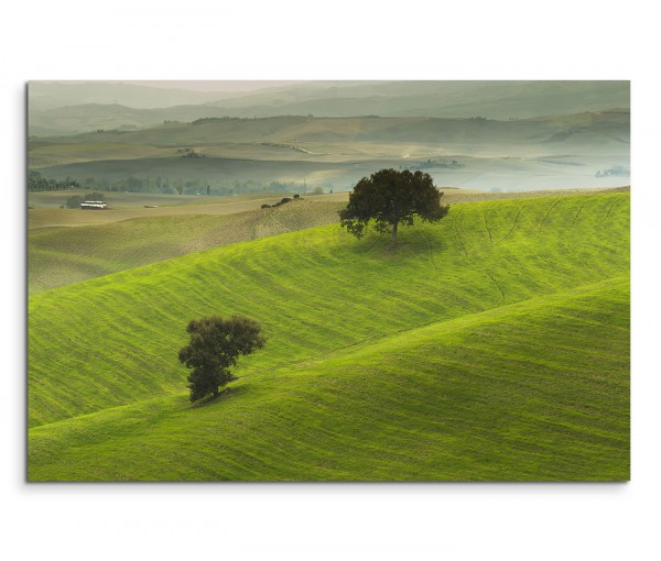 120x80cm Wandbild Toskana Wiesen Baum Nebel