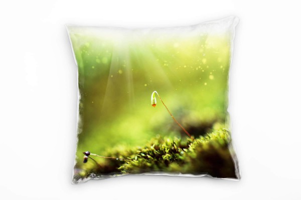 Natur, Macro, grün, Moos, unscharfer Hintergrund Deko Kissen 40x40cm für Couch Sofa Lounge Zierkisse