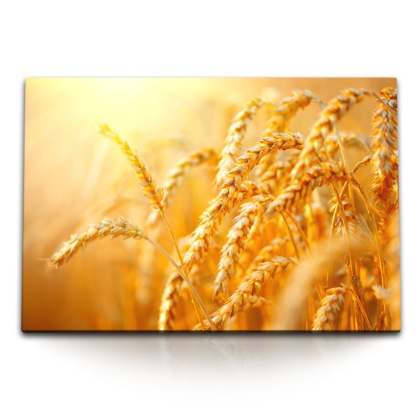 120x80cm Wandbild auf Leinwand Sonnenschein Weizen Natur Sommer Weizenhalme