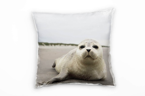 Tiere, Babyrobbe am Strand, grau, braun Deko Kissen 40x40cm für Couch Sofa Lounge Zierkissen