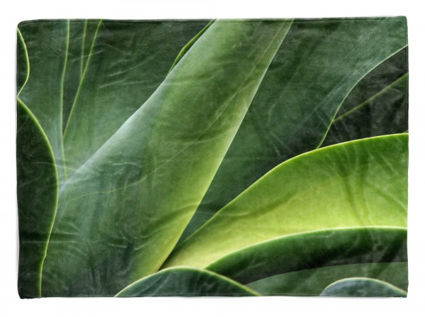 Handtuch Strandhandtuch Saunatuch Kuscheldecke mit Fotomotiv Grün Pflanze Nahau