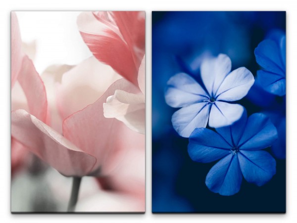 2 Bilder je 60x90cm Blumen weiße Tulpen Blau Sommer Sanft Dekorativ Makrofotografie