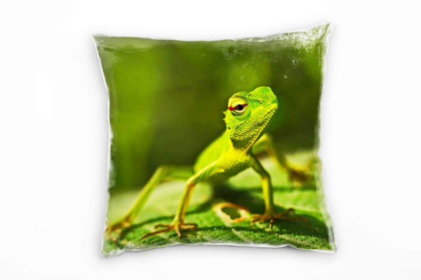 Tiere, tropische Echse, grün Deko Kissen 40x40cm für Couch Sofa Lounge Zierkissen