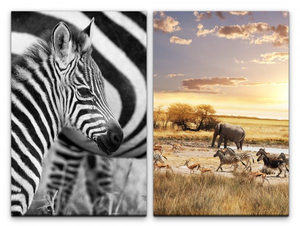 2 Bilder je 60x90cm Zebra Baby Afrika Wildnis Tiere Safari Elefant Sonne