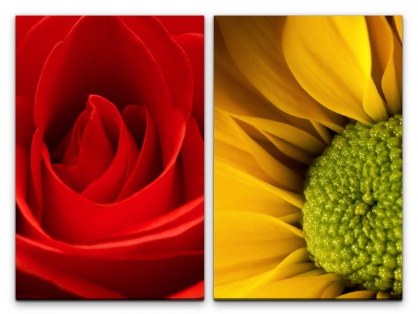 2 Bilder je 60x90cm Rose Sommerblume Rot Gelb Blüten Dekorativ Makrofotografie
