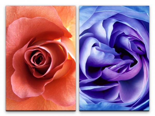 2 Bilder je 60x90cm Rosenblüten Rot Blau Seide Romantisch Warm Feminin