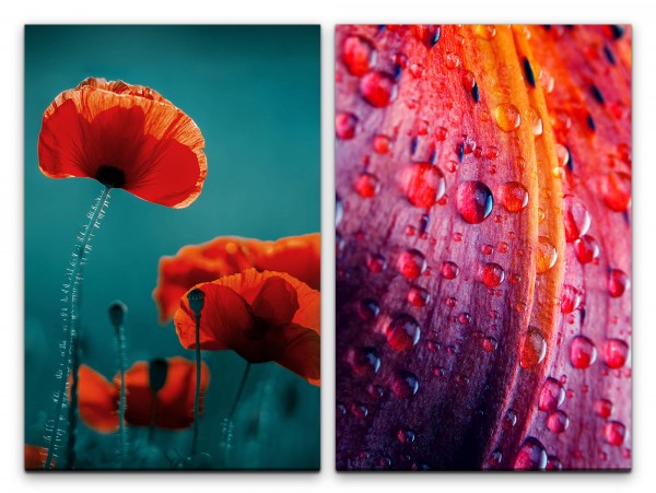 2 Bilder je 60x90cm Mohnblume Blumen Wassertropfen Tropfen Rot Blüten Makrofotografie