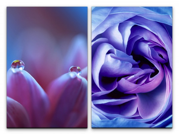 2 Bilder je 60x90cm Blüten Blumen Rose Blau Dekorativ Sanftmut Feminin