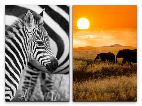 2 Bilder je 60x90cm Afrika Zebras Elefanten Süß Niedlich Wildnis Sonne