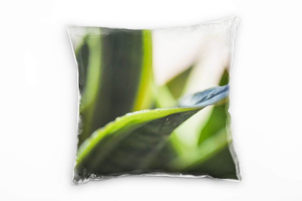 Macro, Natur, Kaktusblatt, unscharf, grün Deko Kissen 40x40cm für Couch Sofa Lounge Zierkissen