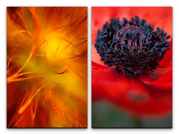 2 Bilder je 60x90cm Mohnblume Blumen Makro Orange Rot Nahaufnahme